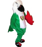 Orzeł Śląsk Wrocław Orzeł Śląsk Wrocław