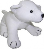 Miś polarny