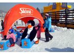 ssStroje reklamowe eventowe Pingwin Skizy - Elabika